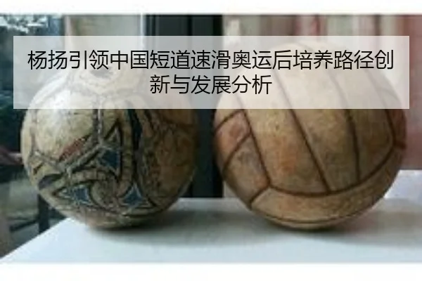 杨扬引领中国短道速滑奥运后培养路径创新与发展分析
